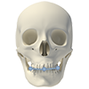 check occlusal plane